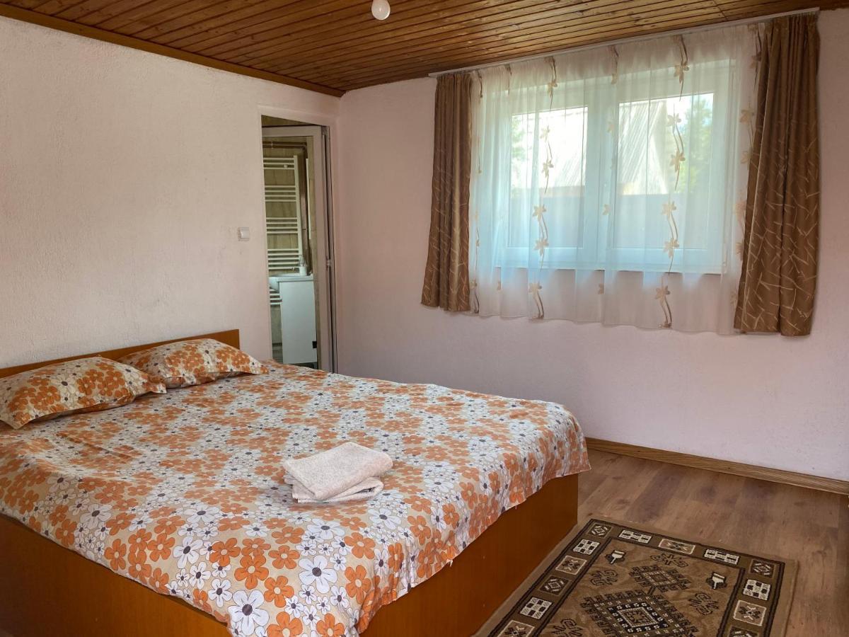 Casa Blendea Daniela Hotel Cîrţişoara Buitenkant foto